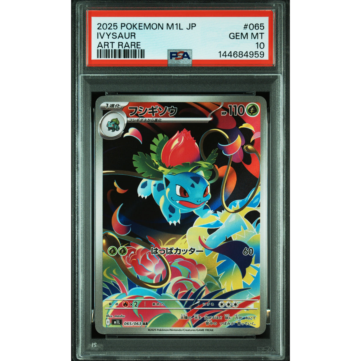 Pokémon - Ivysaur 065/063 Art Rare PSA 10 [M1L] - JP